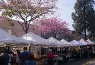 La-Crescenta-pic