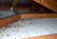 indoor-clean-altadena