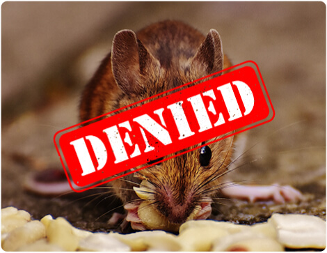 rat-denied