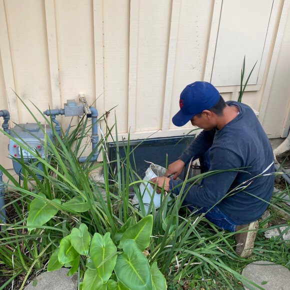 inspection-rodent-control inspection-rodent-control