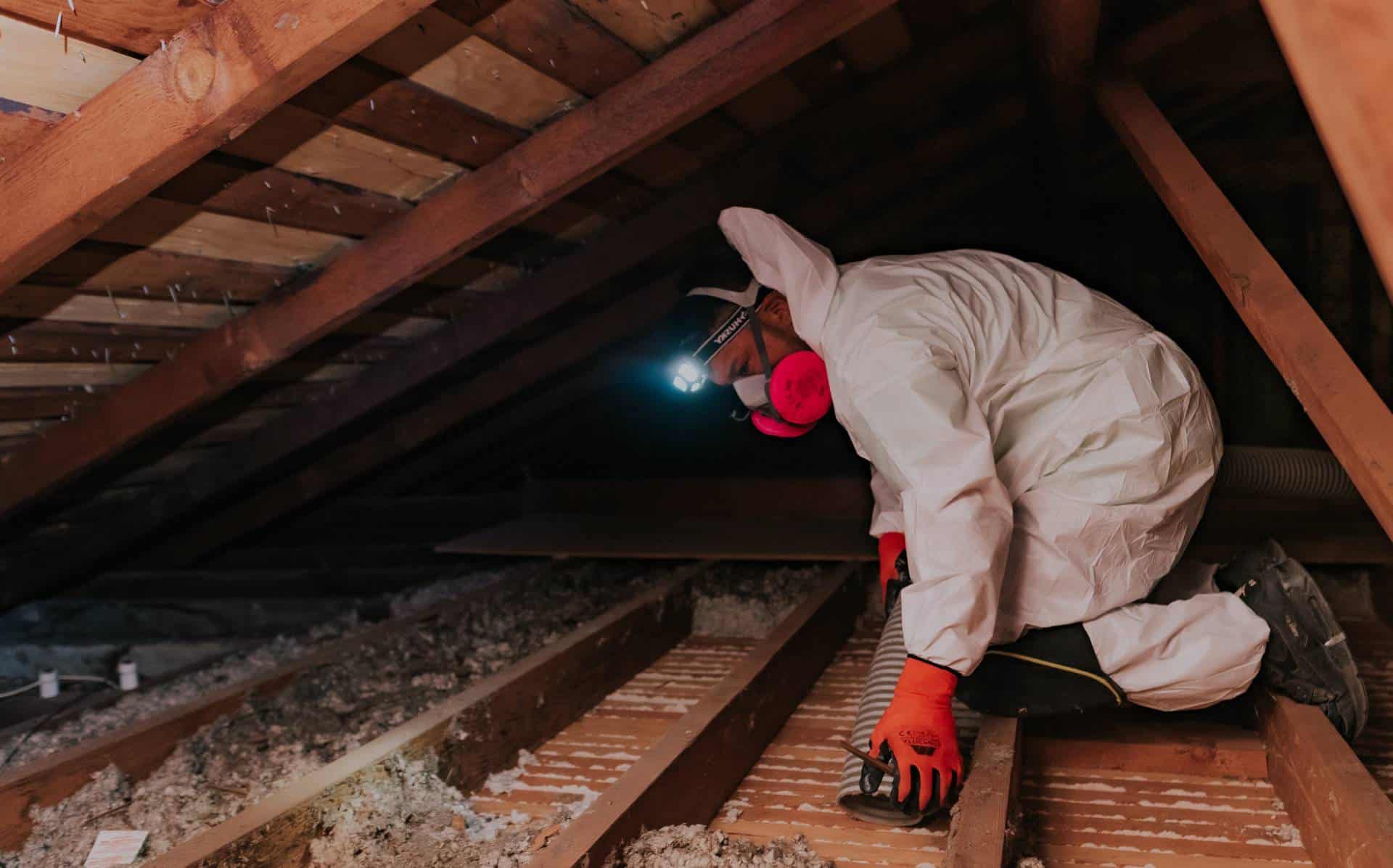 Attic-Cleaning-services Attic-Cleaning-services