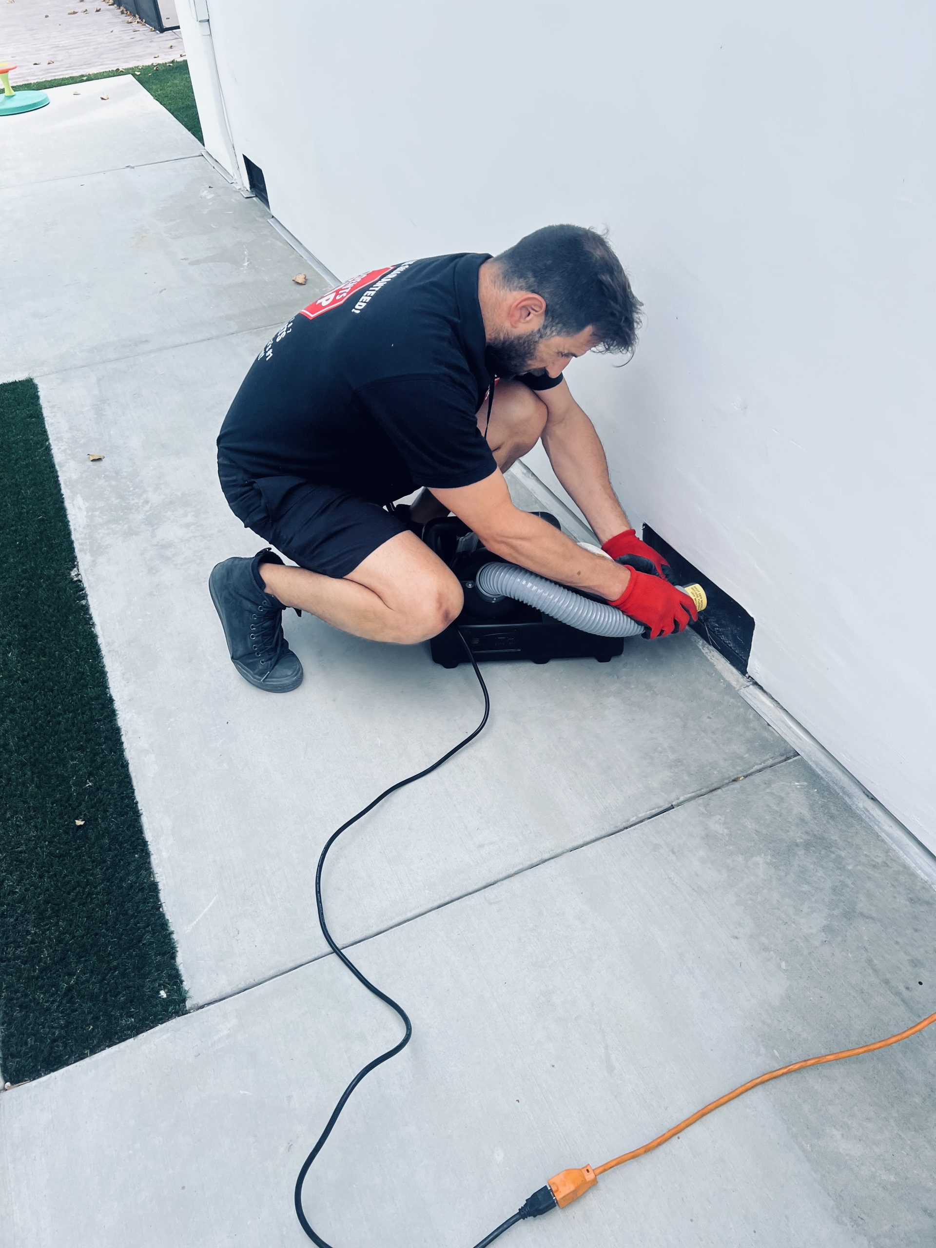 rodent-stop-spray-in-action