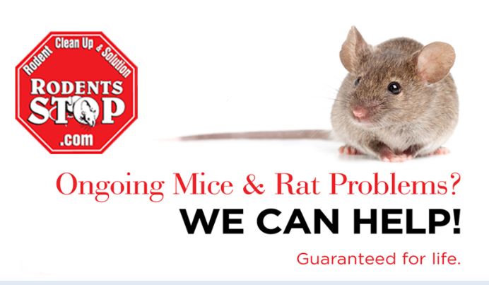 rodents-stop-life-time-guarantee rodents-stop-life-time-guarantee